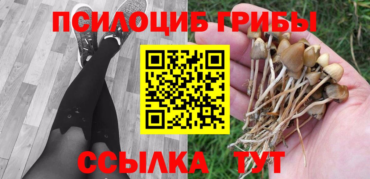 Псилоцибиновые грибы Psilocybe  Галлюциногенные грибы Psilocybine cubensis  Вход с VPN  Сунжа 