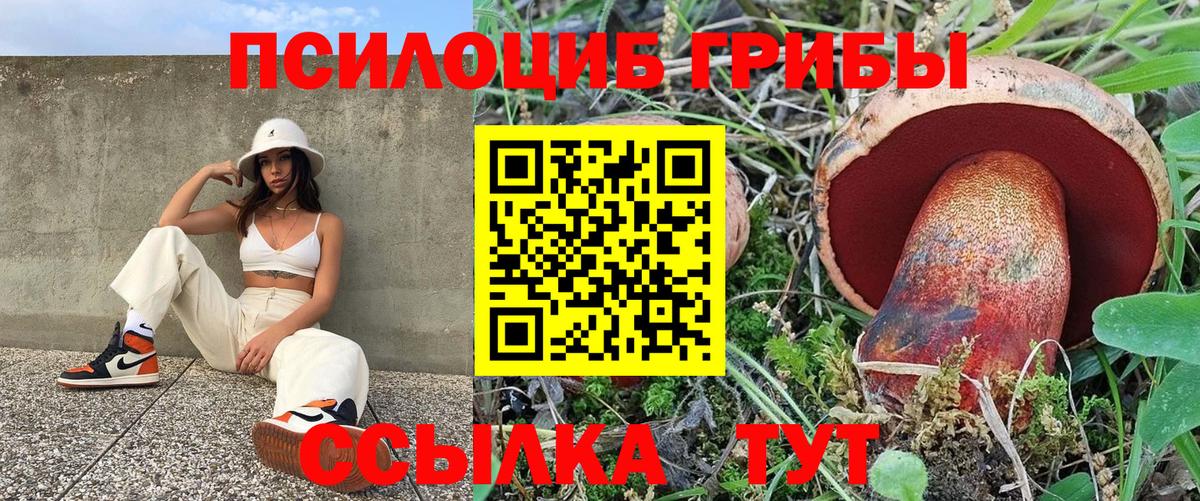 Галлюциногенные грибы GOLDEN TEACHER Сунжа