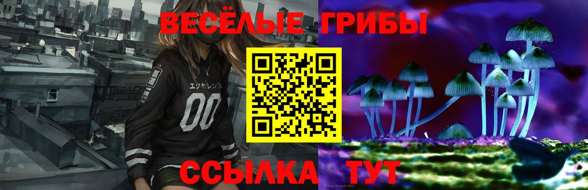 Галлюциногенные грибы Psilocybine cubensis Сунжа