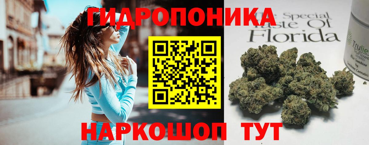 Конопля ГИДРОПОН  Сунжа  Конопля марихуана  Бошки Шишки конопля  МАРИХУАНА White Widow 